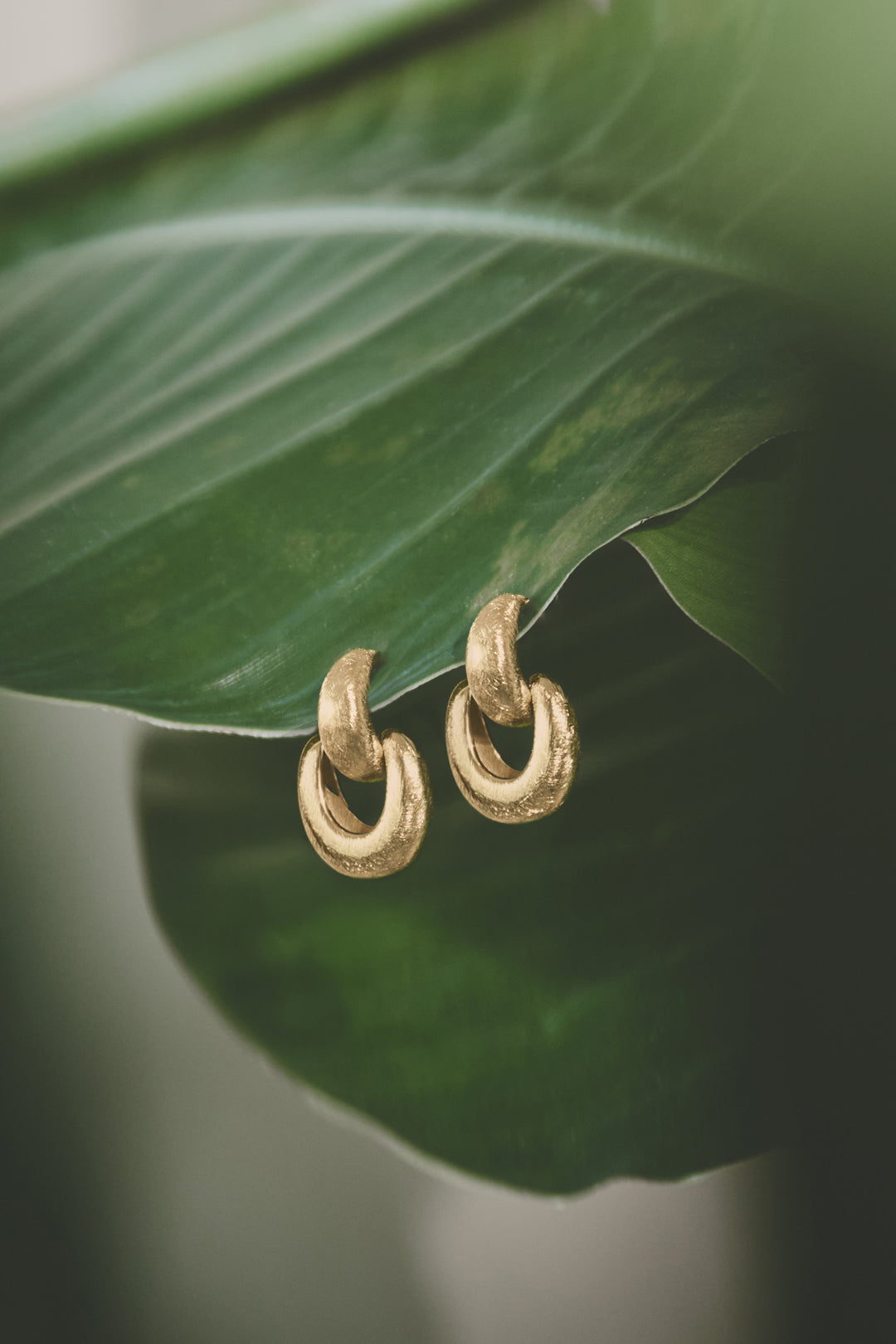 Boucles d'oreilles à maillons organiques avec un effet mat